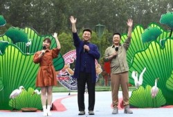 郑州新校服爆料视频最新,时尚与实用的完美结合