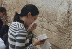 娱乐吃瓜君名媛是谁啊免费阅读