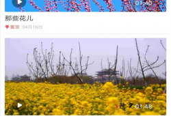 隆尧爆料最新新闻,聚焦热点事件深度解析